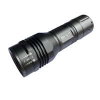 EDI-T P17 260LM ADJUSTABLE BEAM TORCH