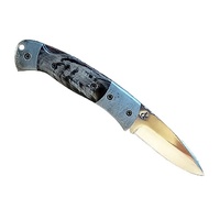 Kappetijn CAPRIVI Folder - Black Micarta